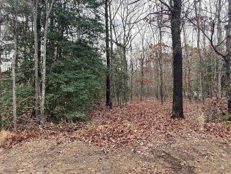 Land for Sale at 306 Raleigh Avenue Whitesboro, New Jersey 08210 United States