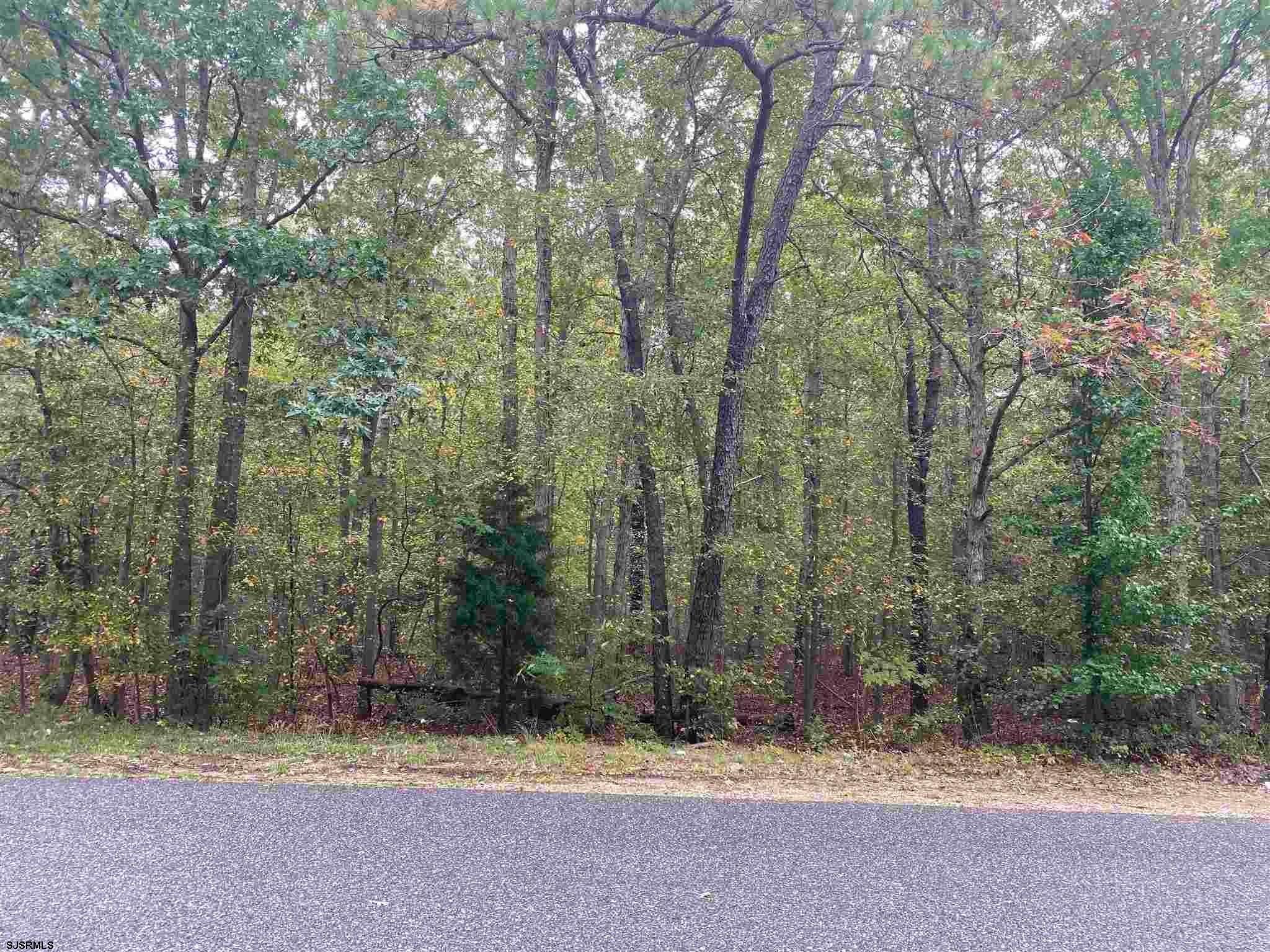 2. Land for Sale at Damson Avenue Galloway Township, New Jersey 08205 United States