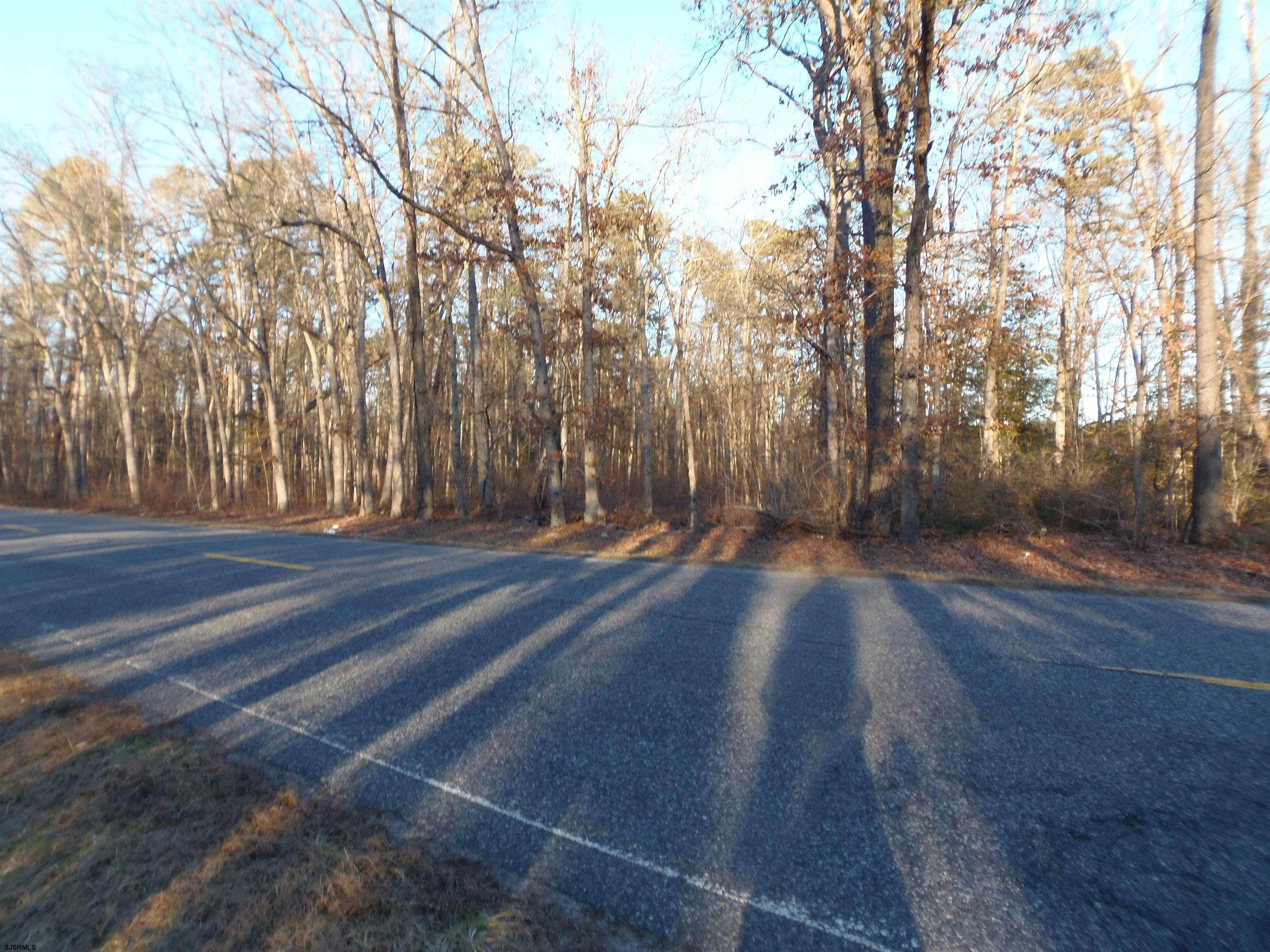 Land for Sale at Tuckahoe Road Buena Vista Township, New Jersey 08360 United States