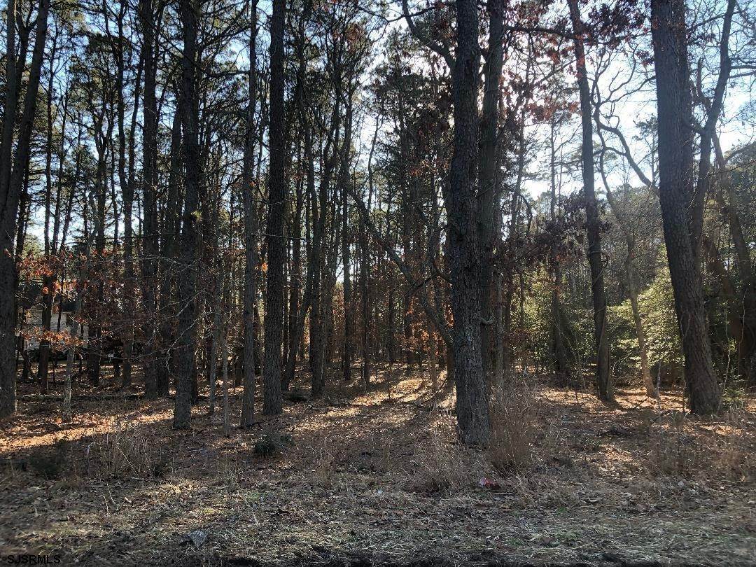 1. Land for Sale at 110 W Liebig Street Galloway Township, New Jersey 08205 United States
